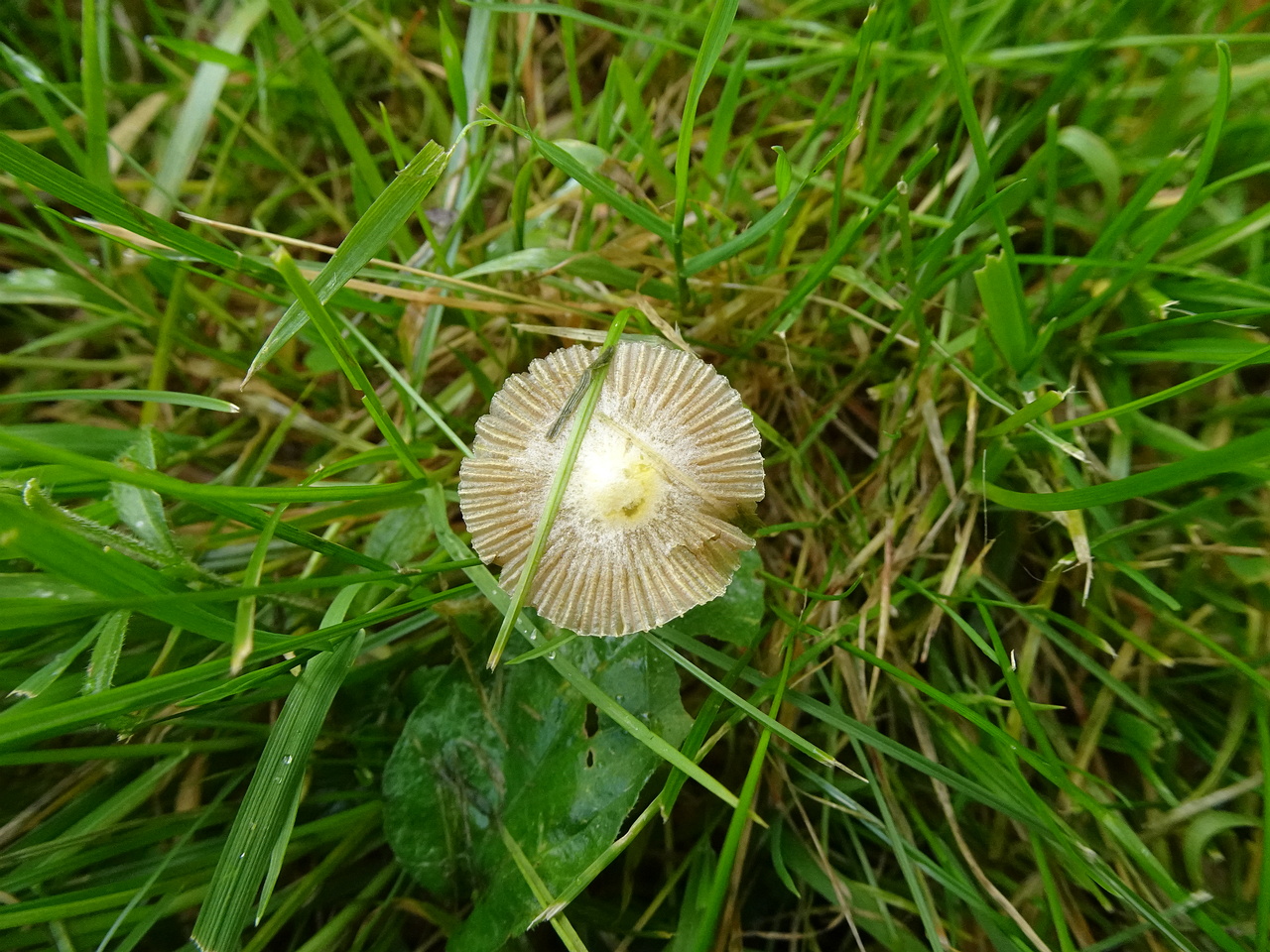 DSC07381