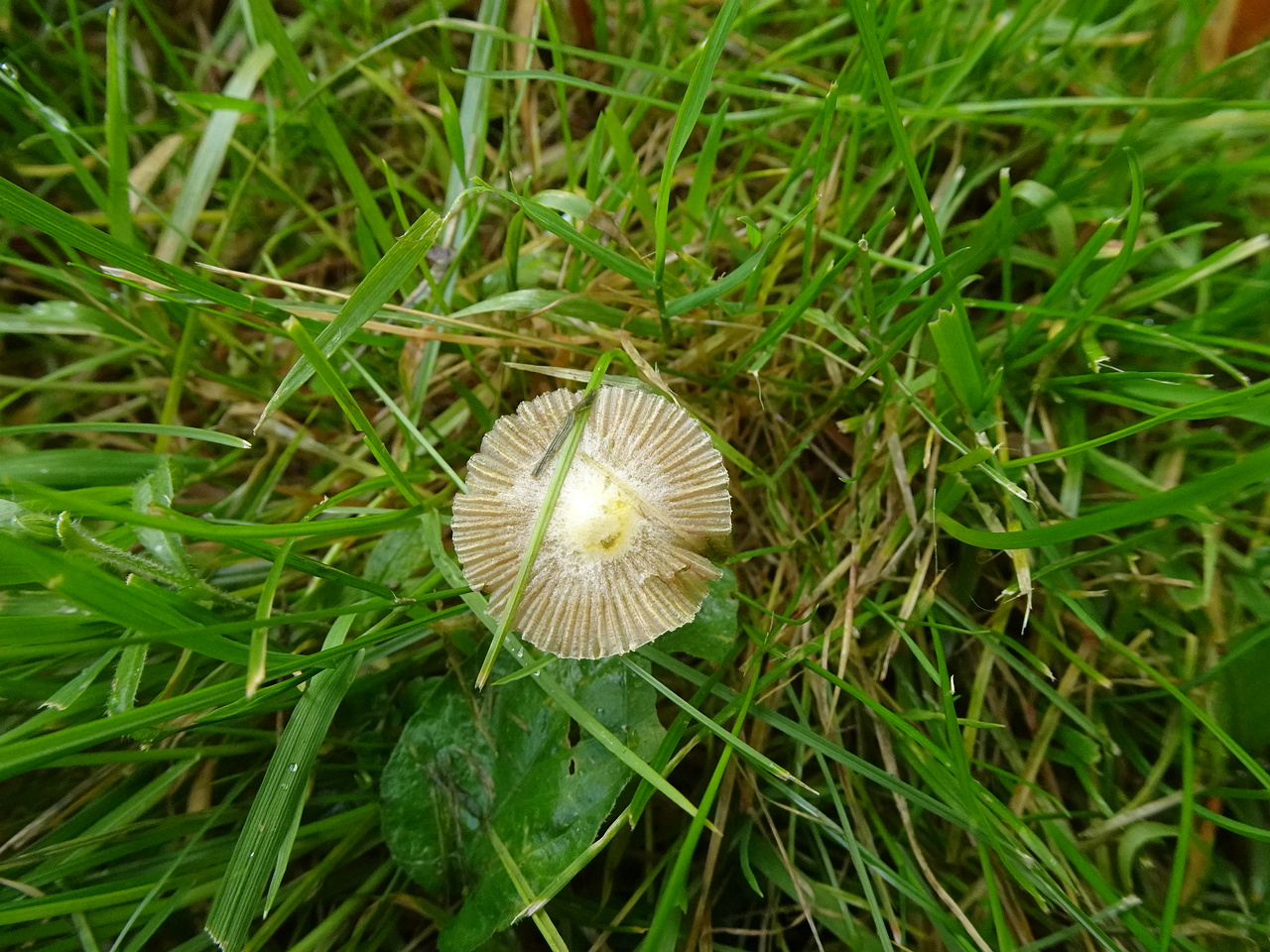 DSC07382