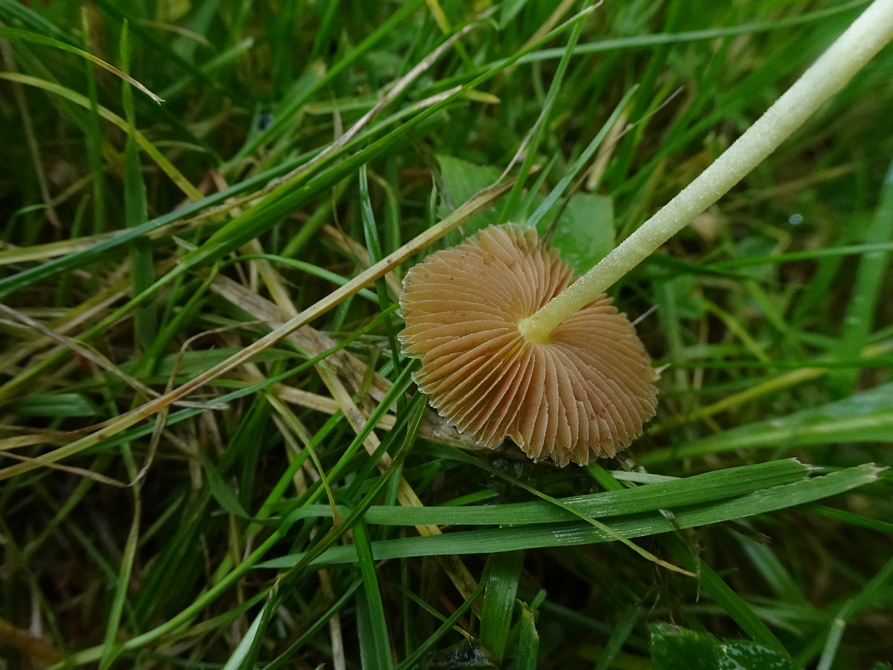 DSC07389