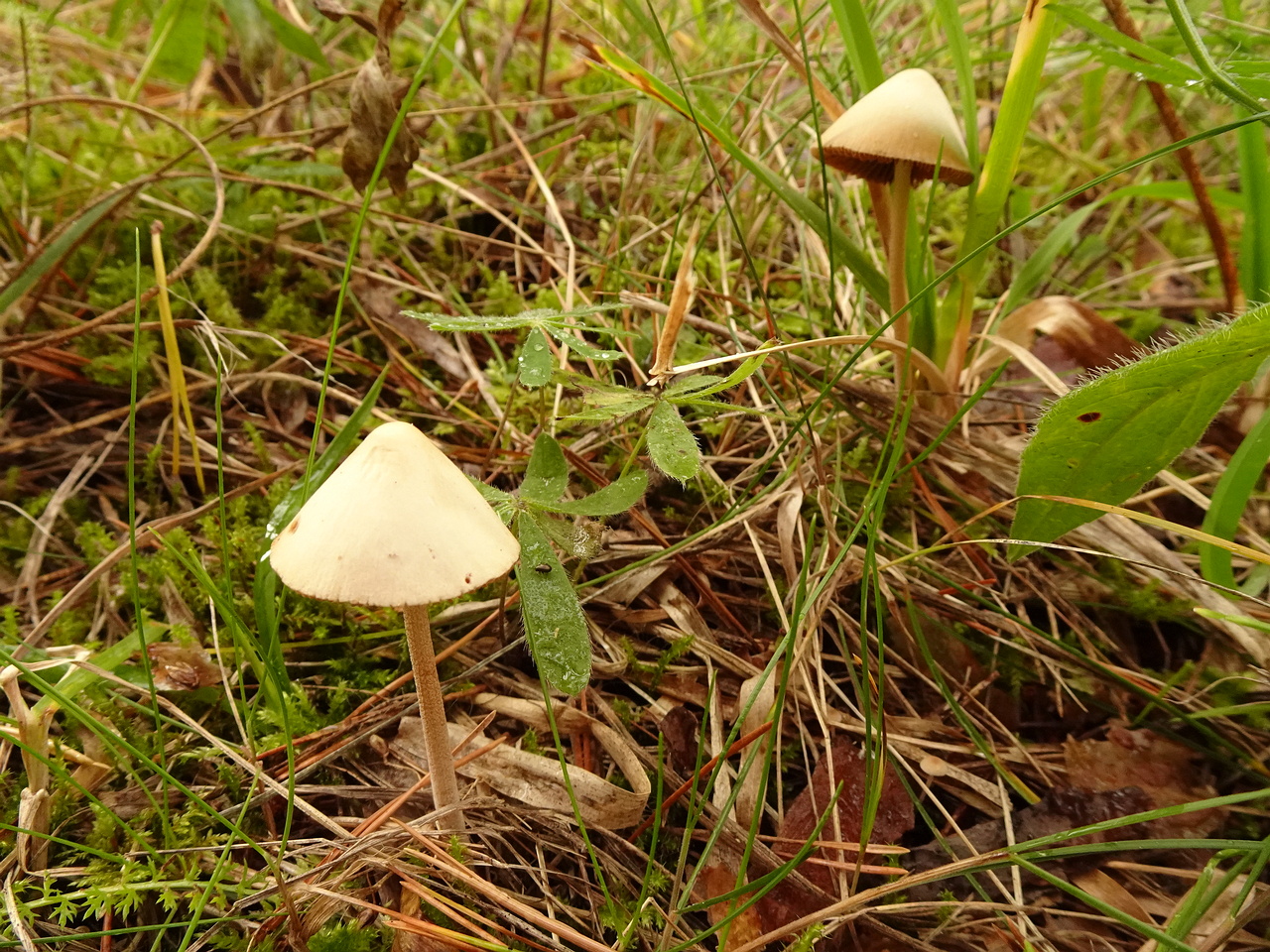 DSC06658