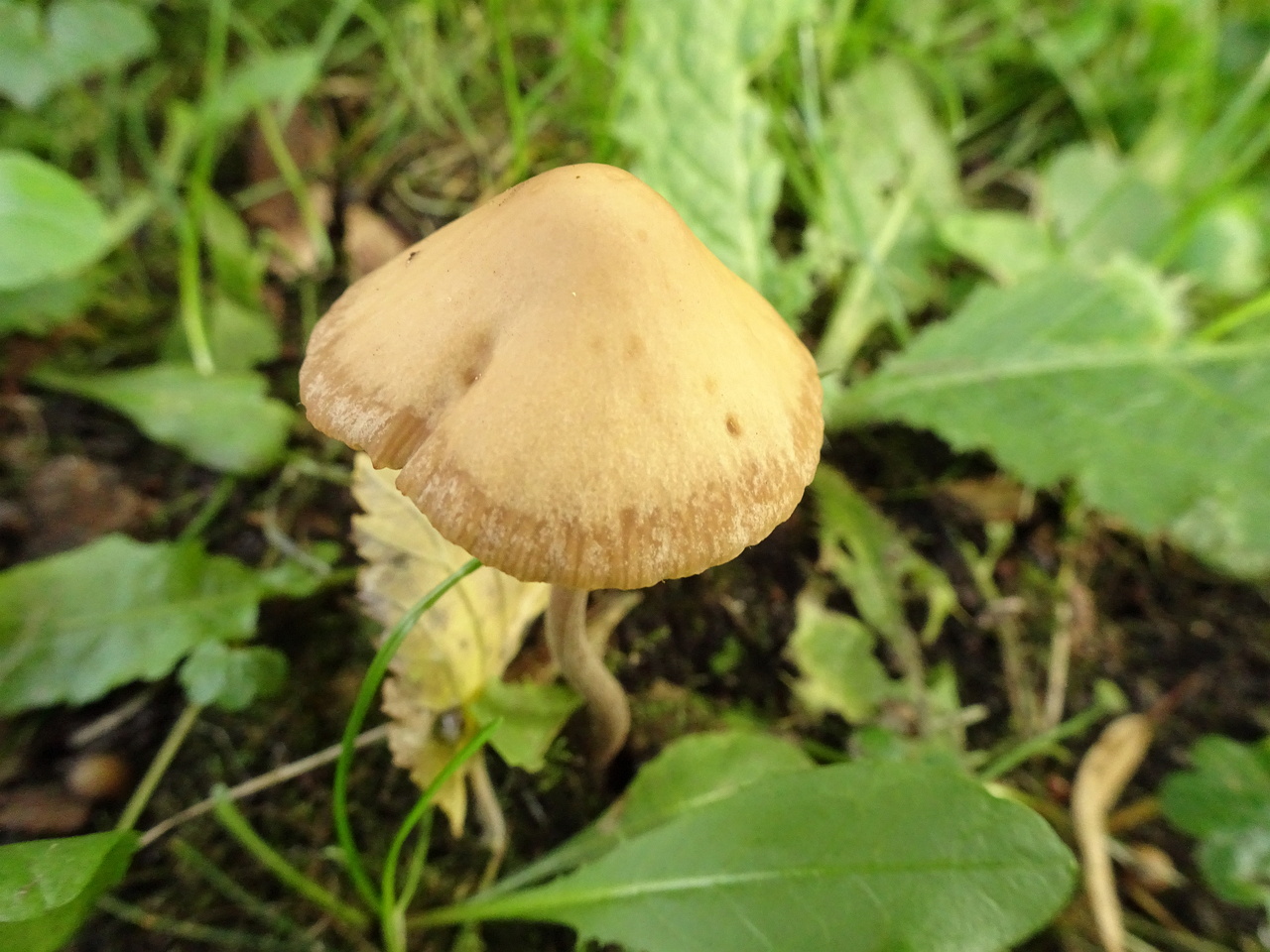 0DSC05888