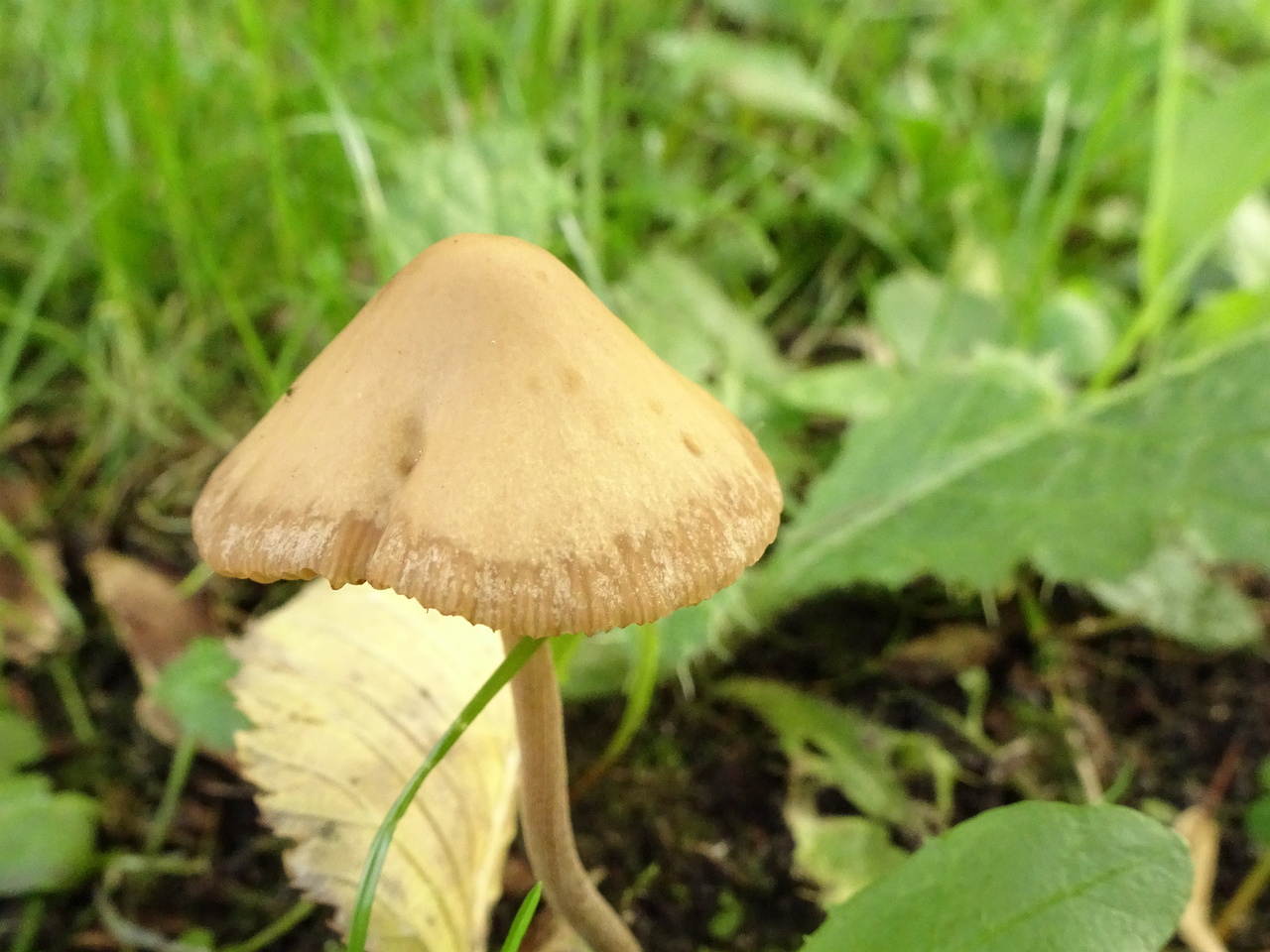 DSC05886