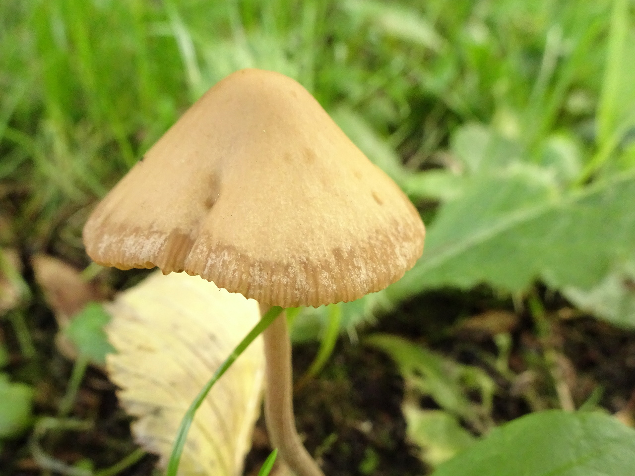 DSC05887