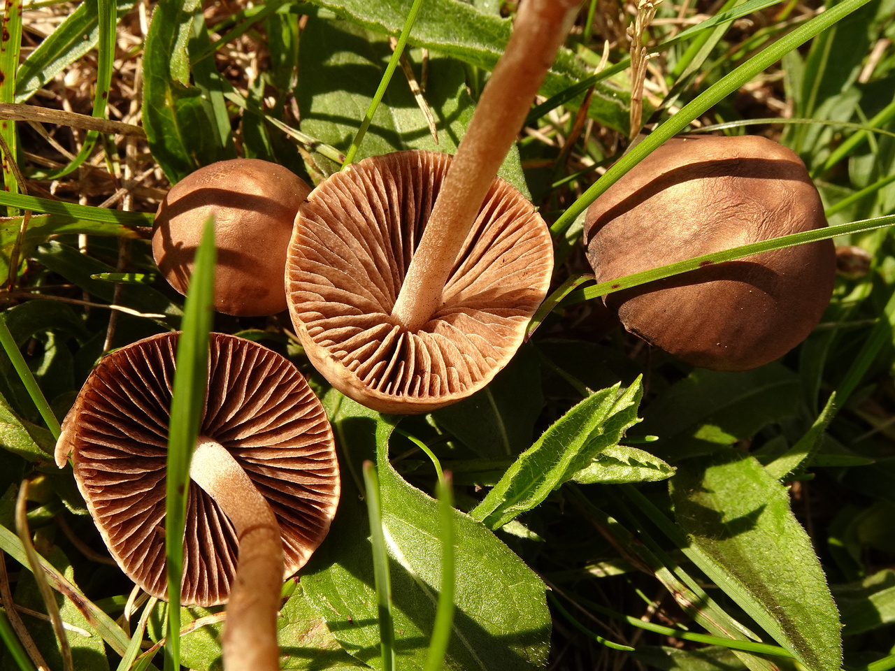 DSC04497