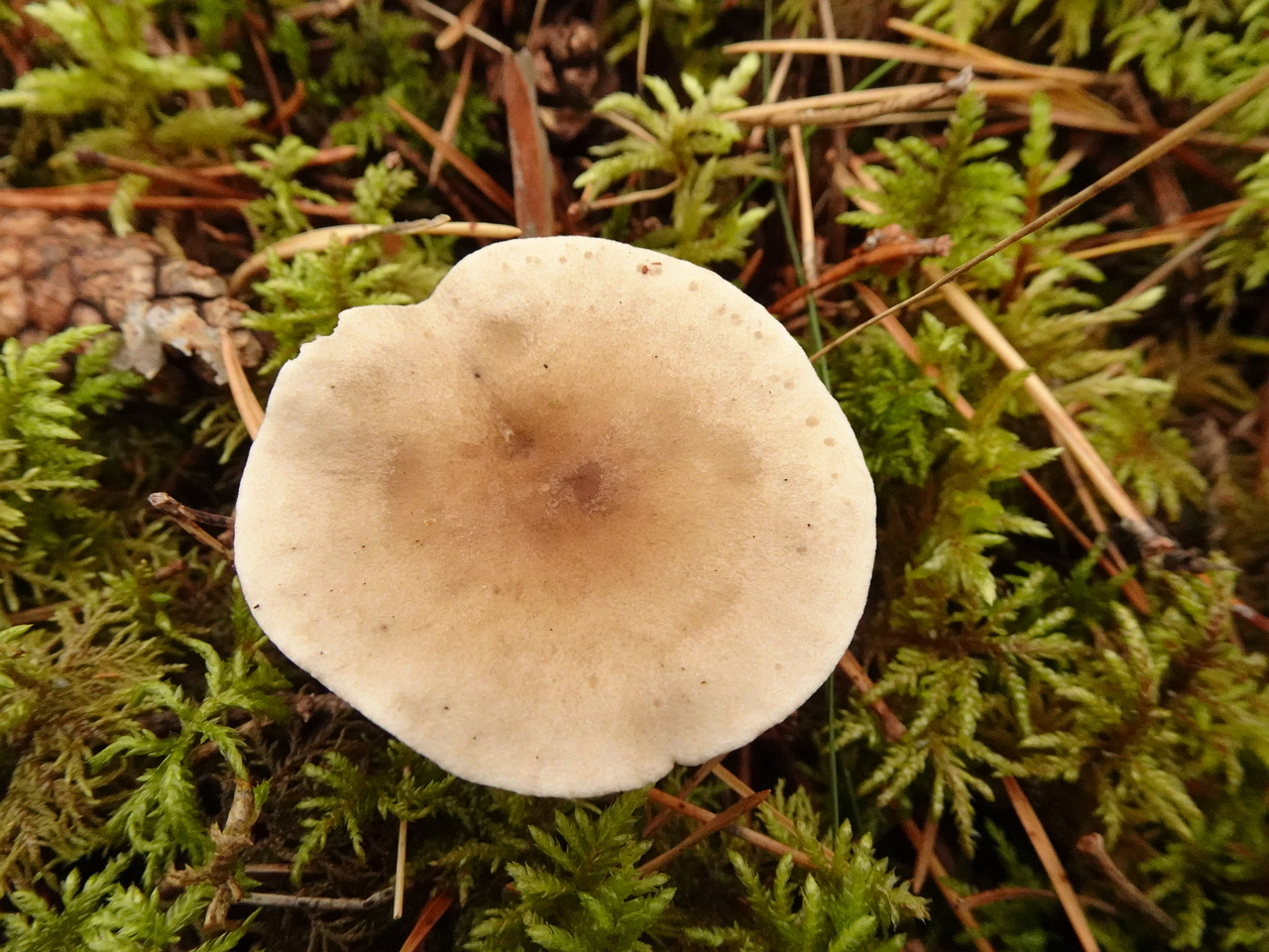 DSC06336