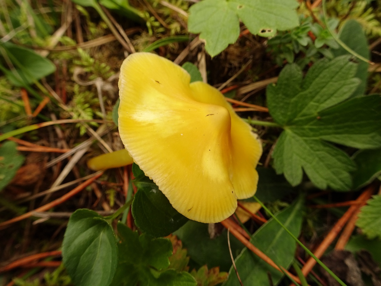 DSC05127