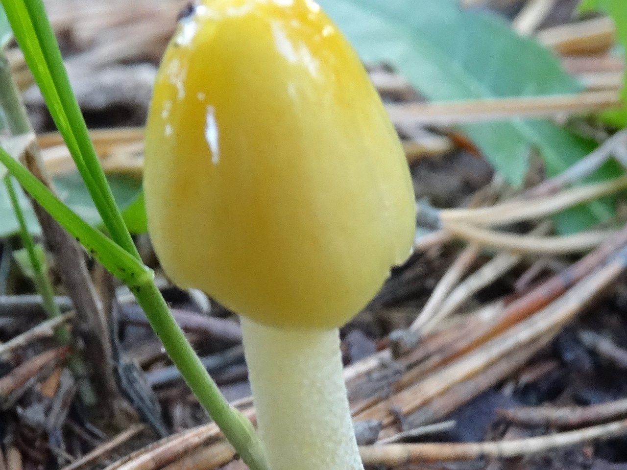 DSC07351_