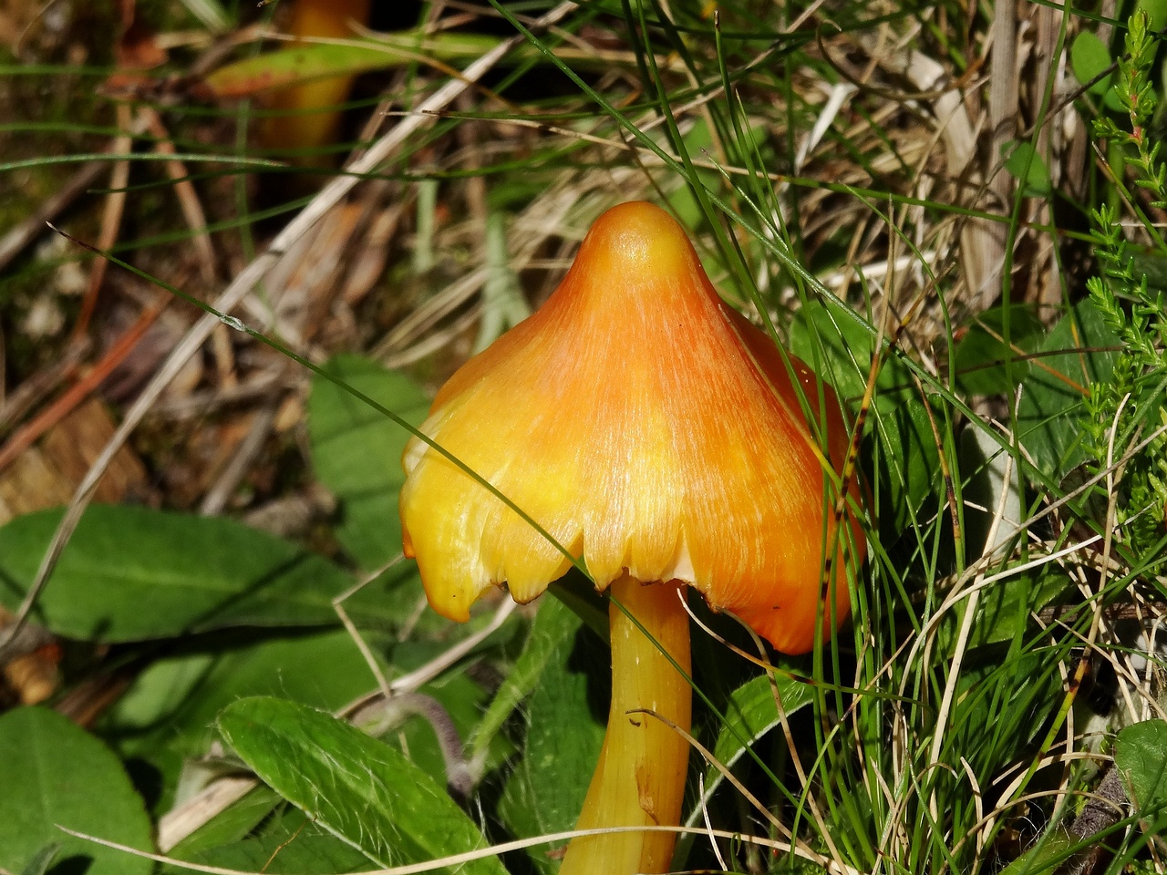 DSC02862