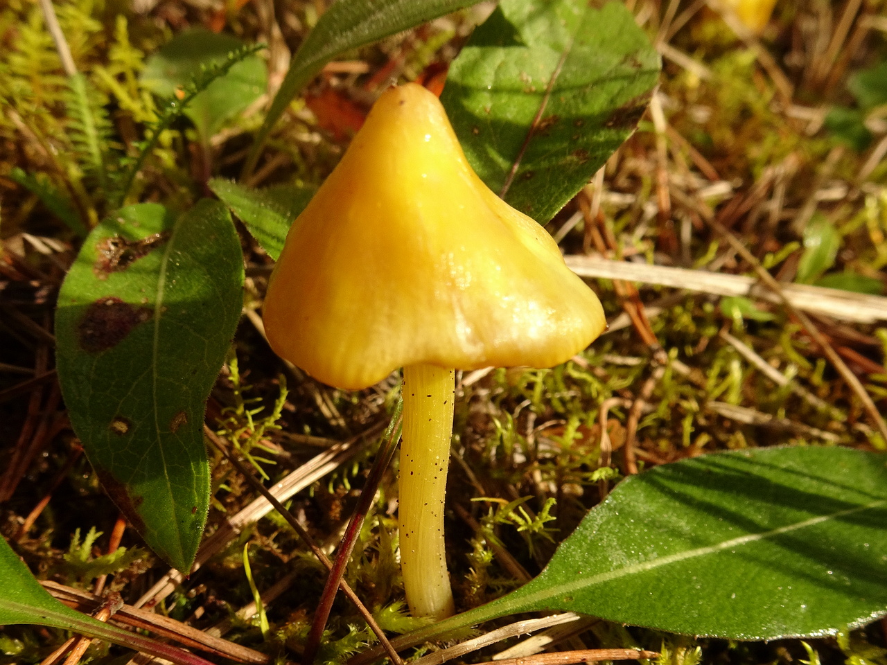 0DSC05971