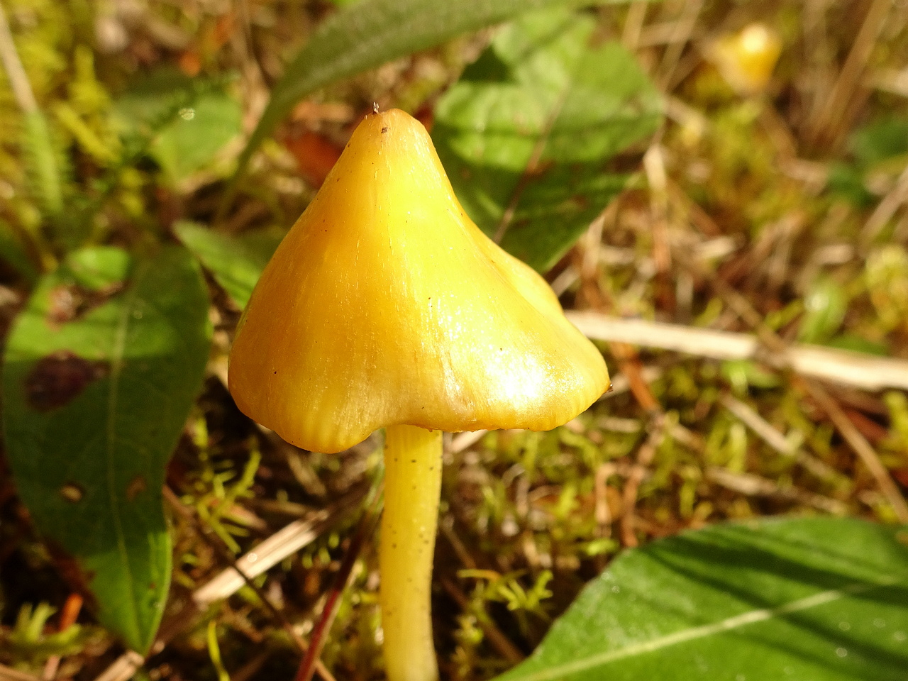 DSC05969