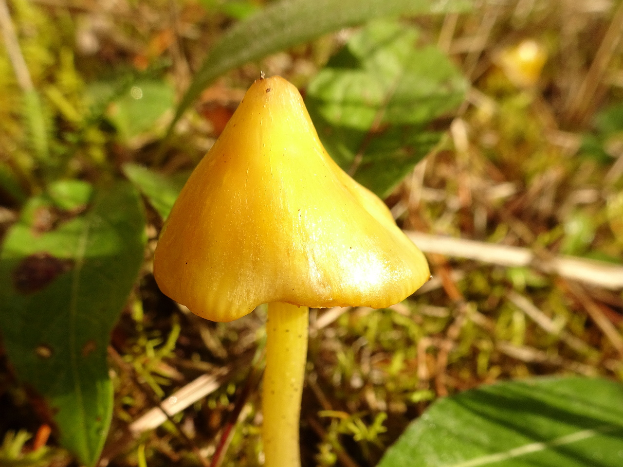 DSC05970