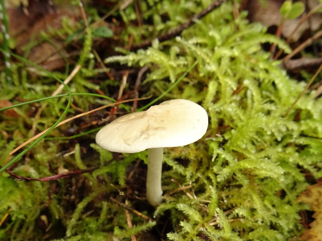 DSC00508