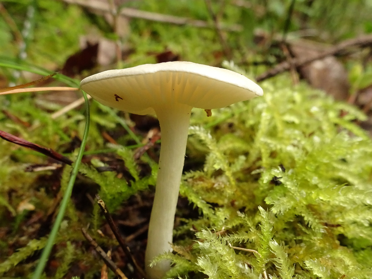 DSC00509