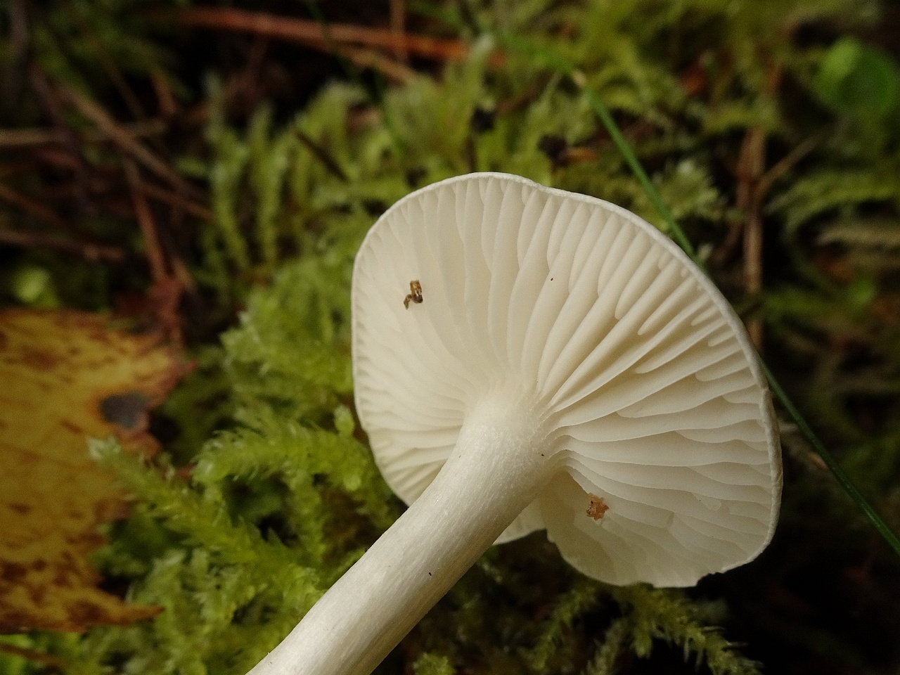 DSC00511