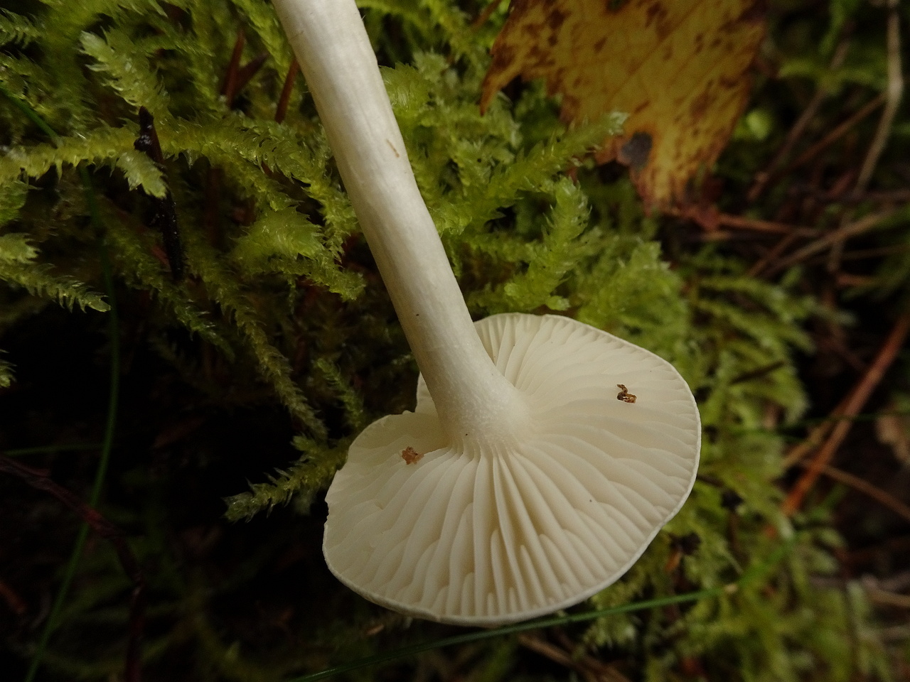 DSC00512