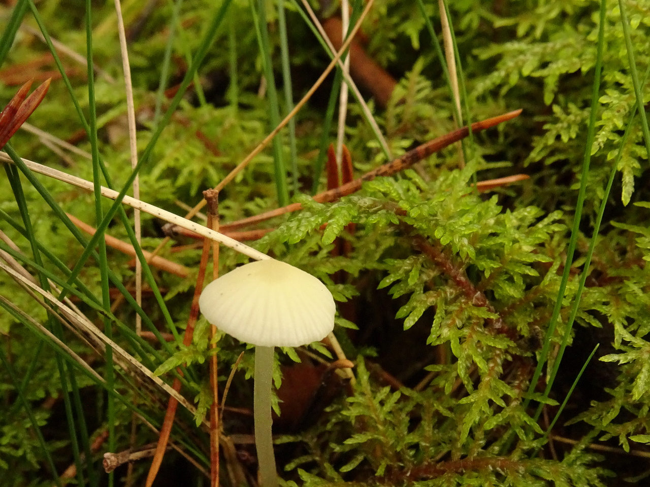 DSC00574