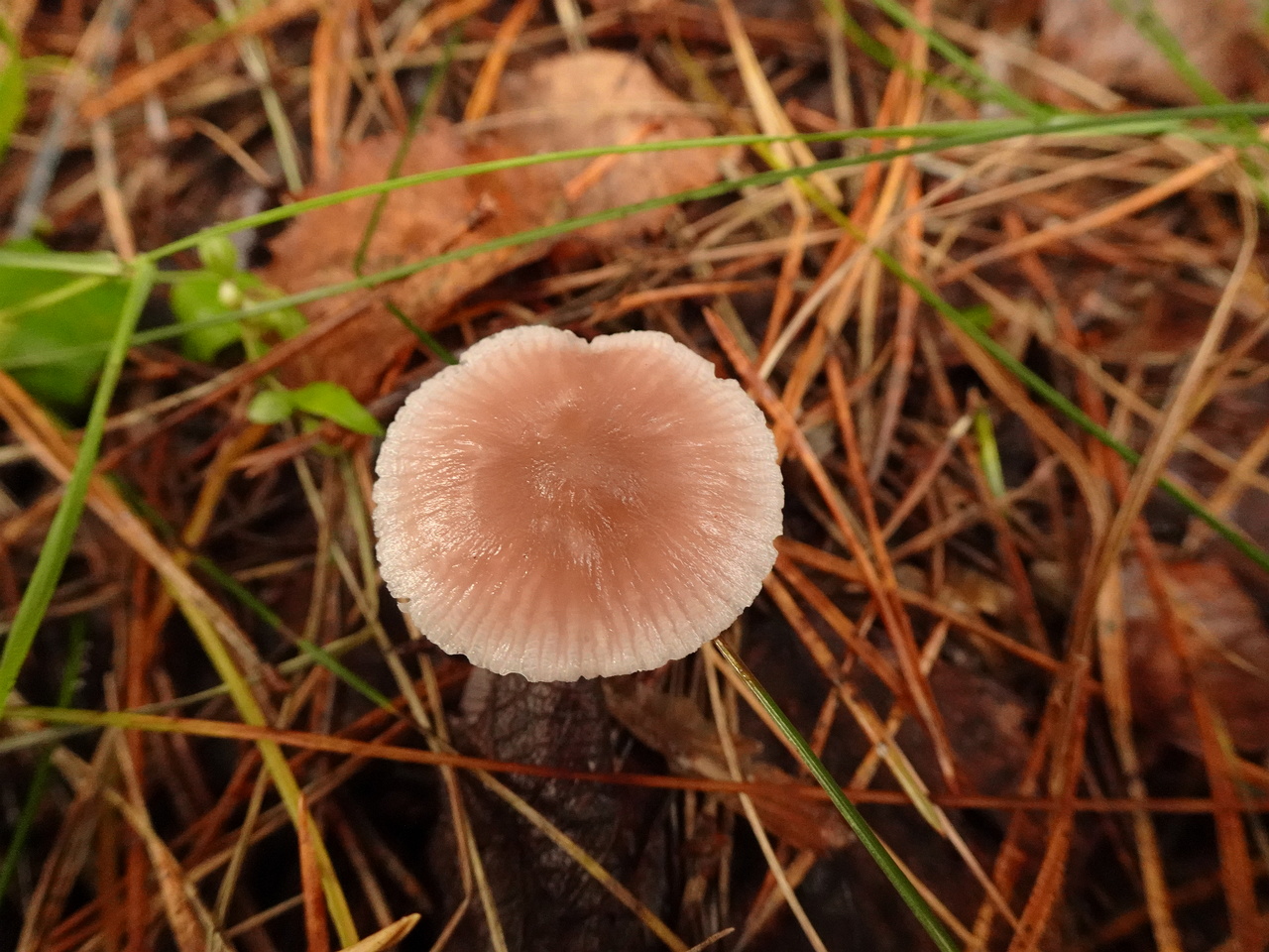 DSC06958