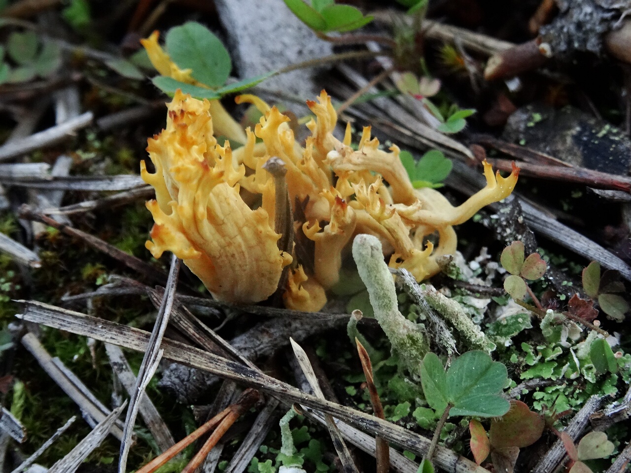 DSC04064