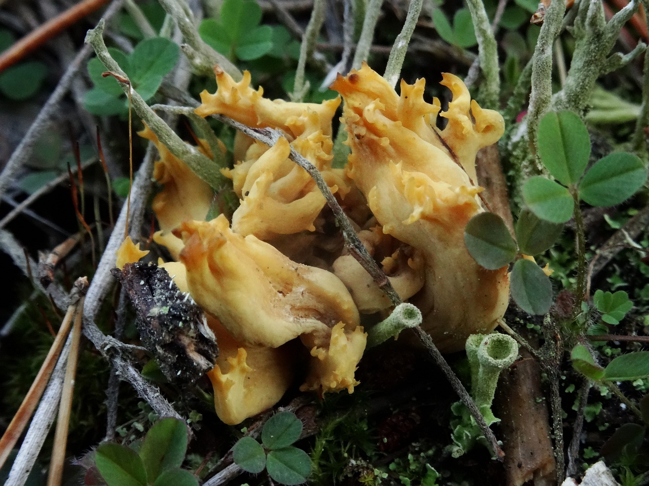 DSC04065