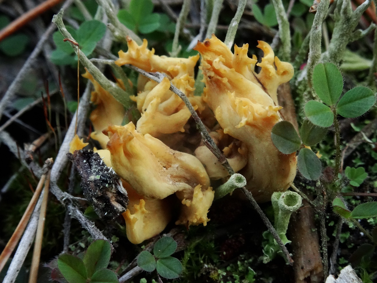 DSC04066
