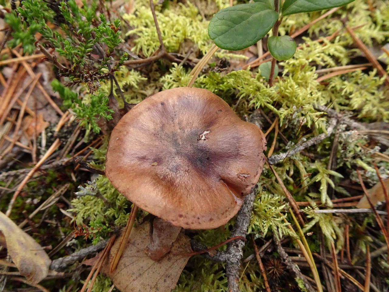 DSC06890