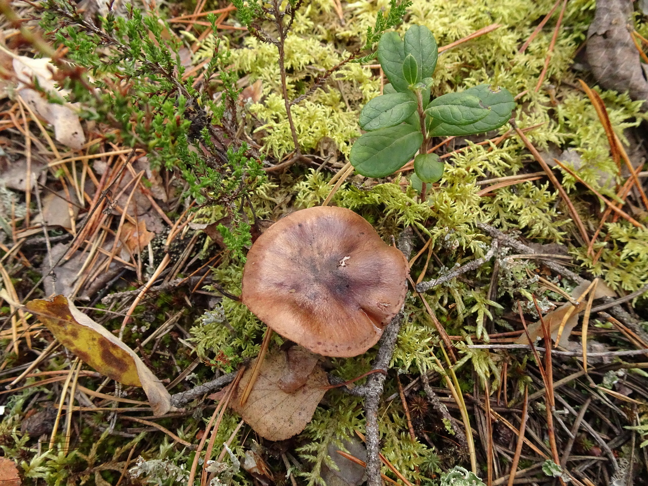 DSC06891