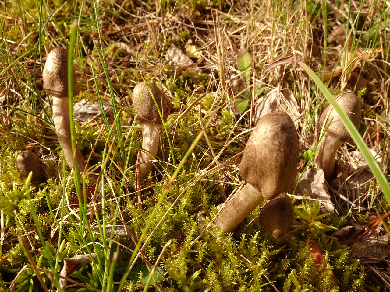 DSC06517