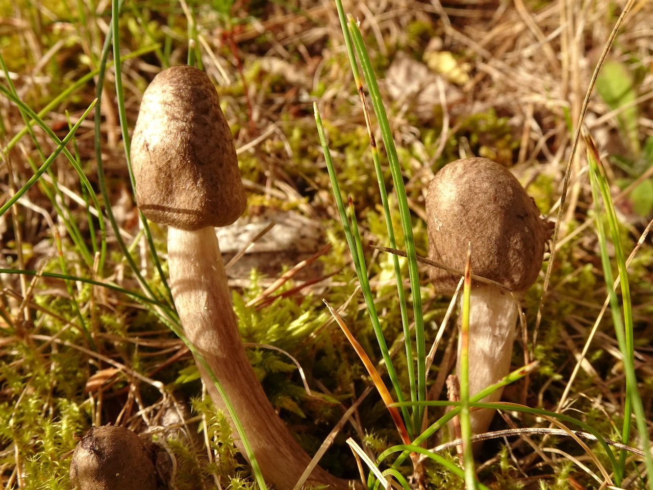 DSC06519