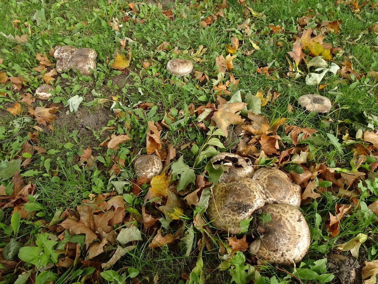 DSC01280