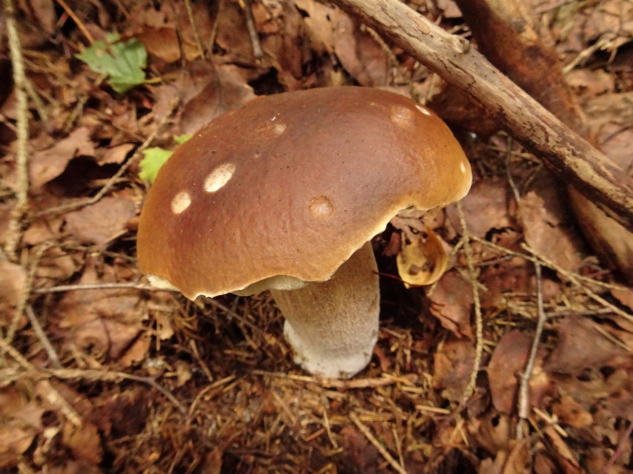 DSC00281