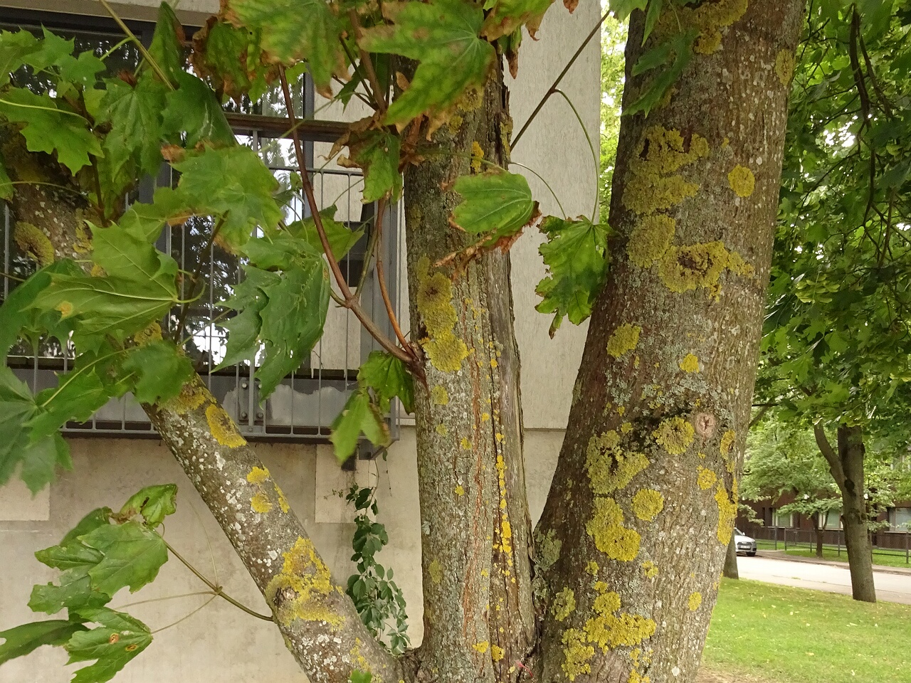 DSC05629