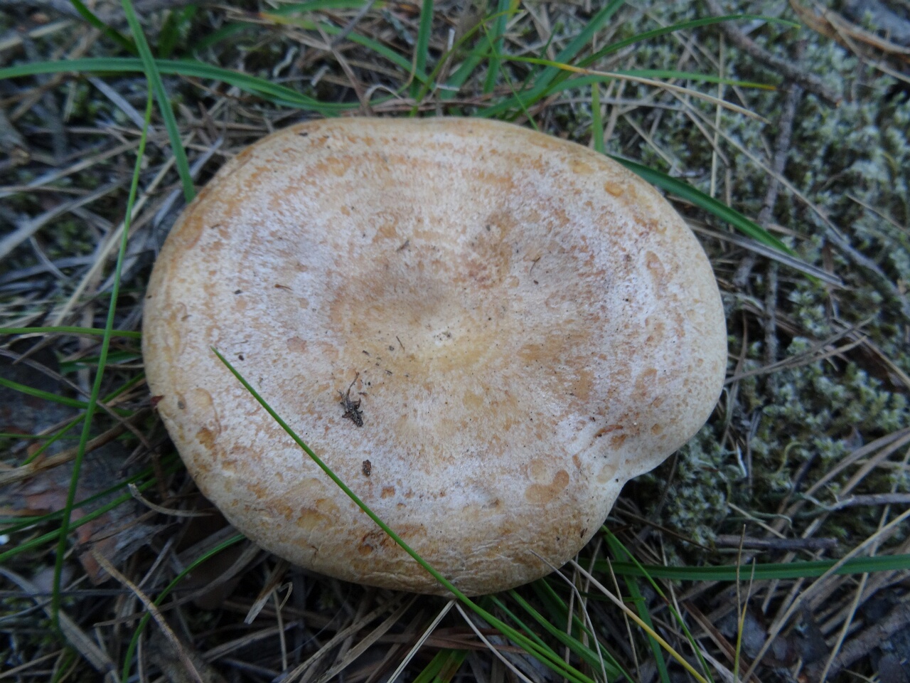 !DSC05623