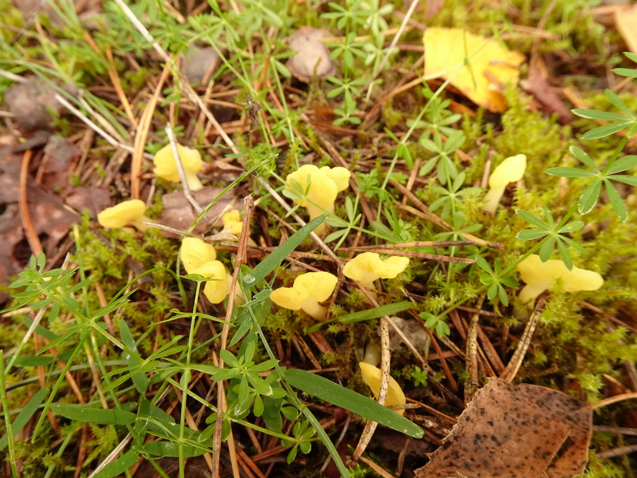 DSC06807