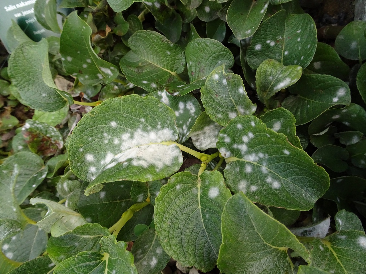 DSC05156
