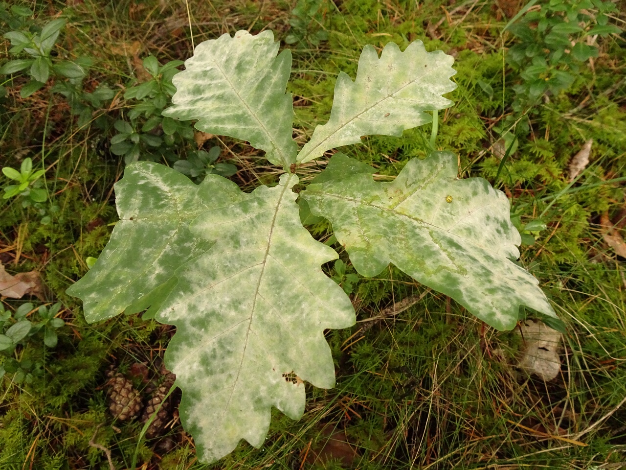 DSC00580