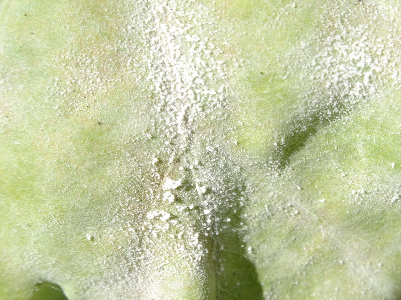DSC05673_