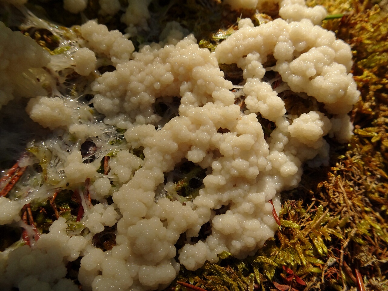 DSC08200