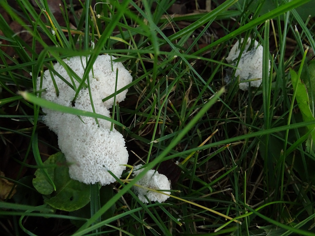 DSC00409