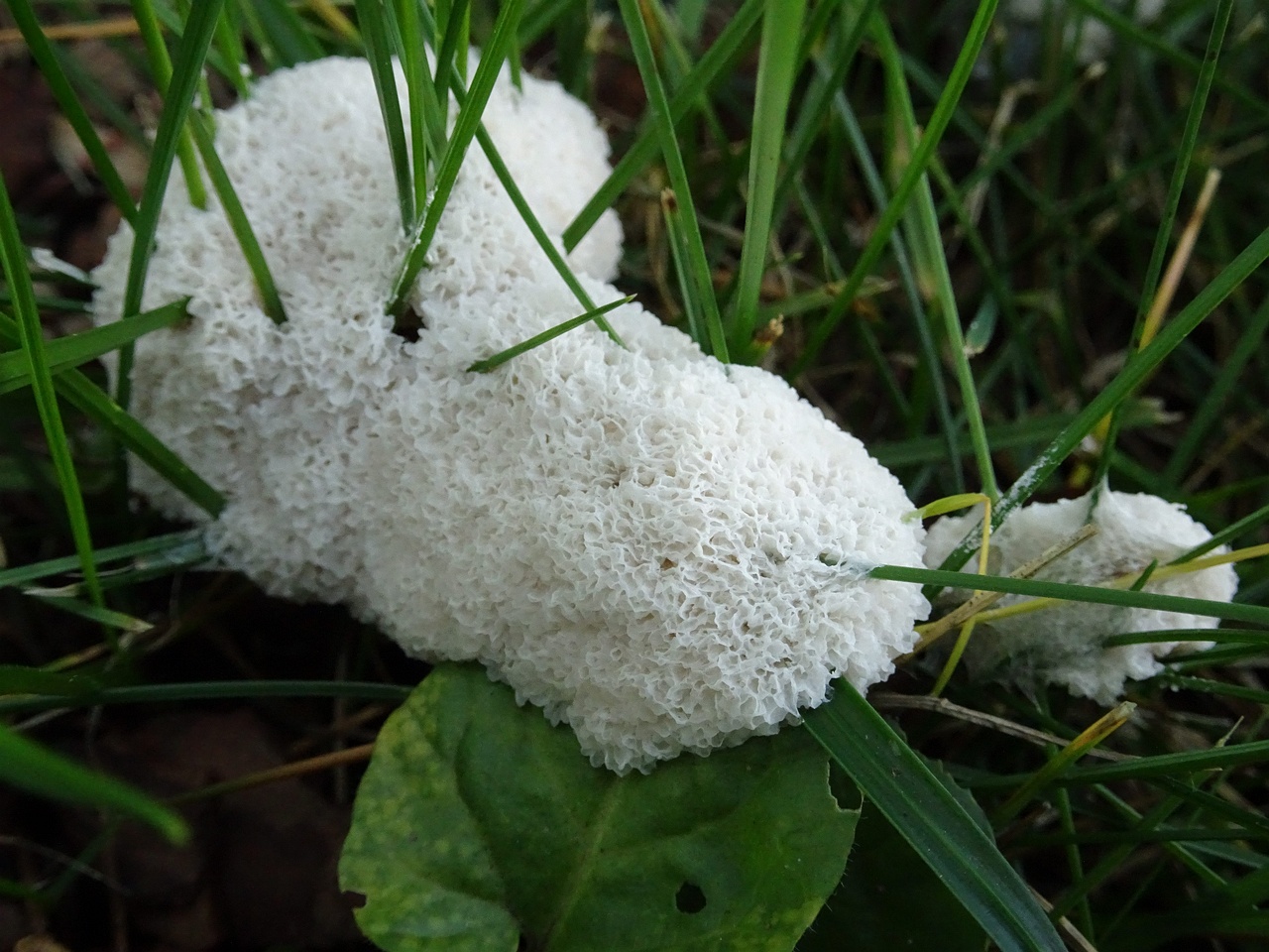 DSC00410