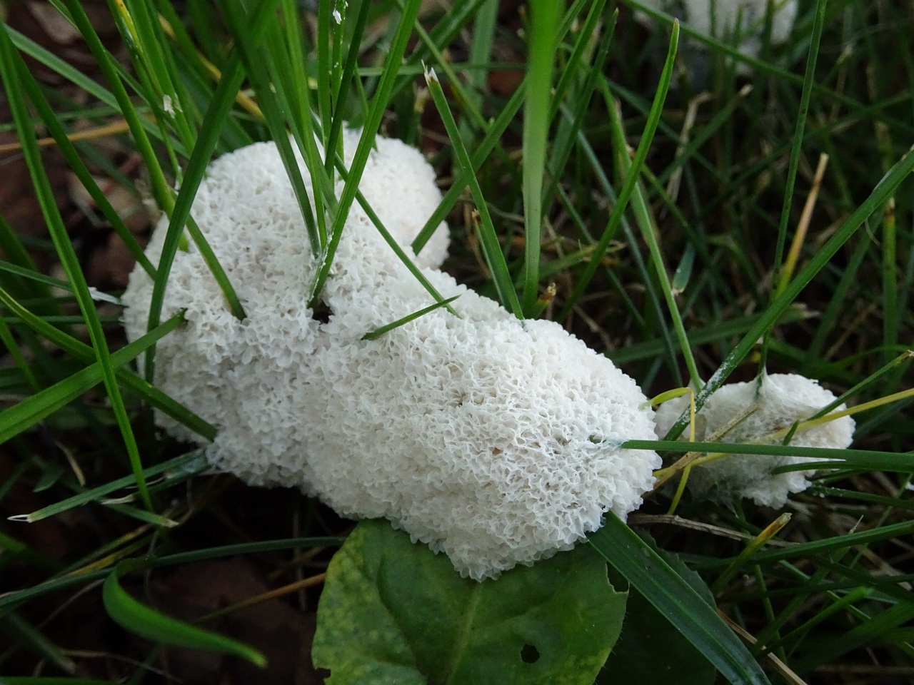 DSC00412