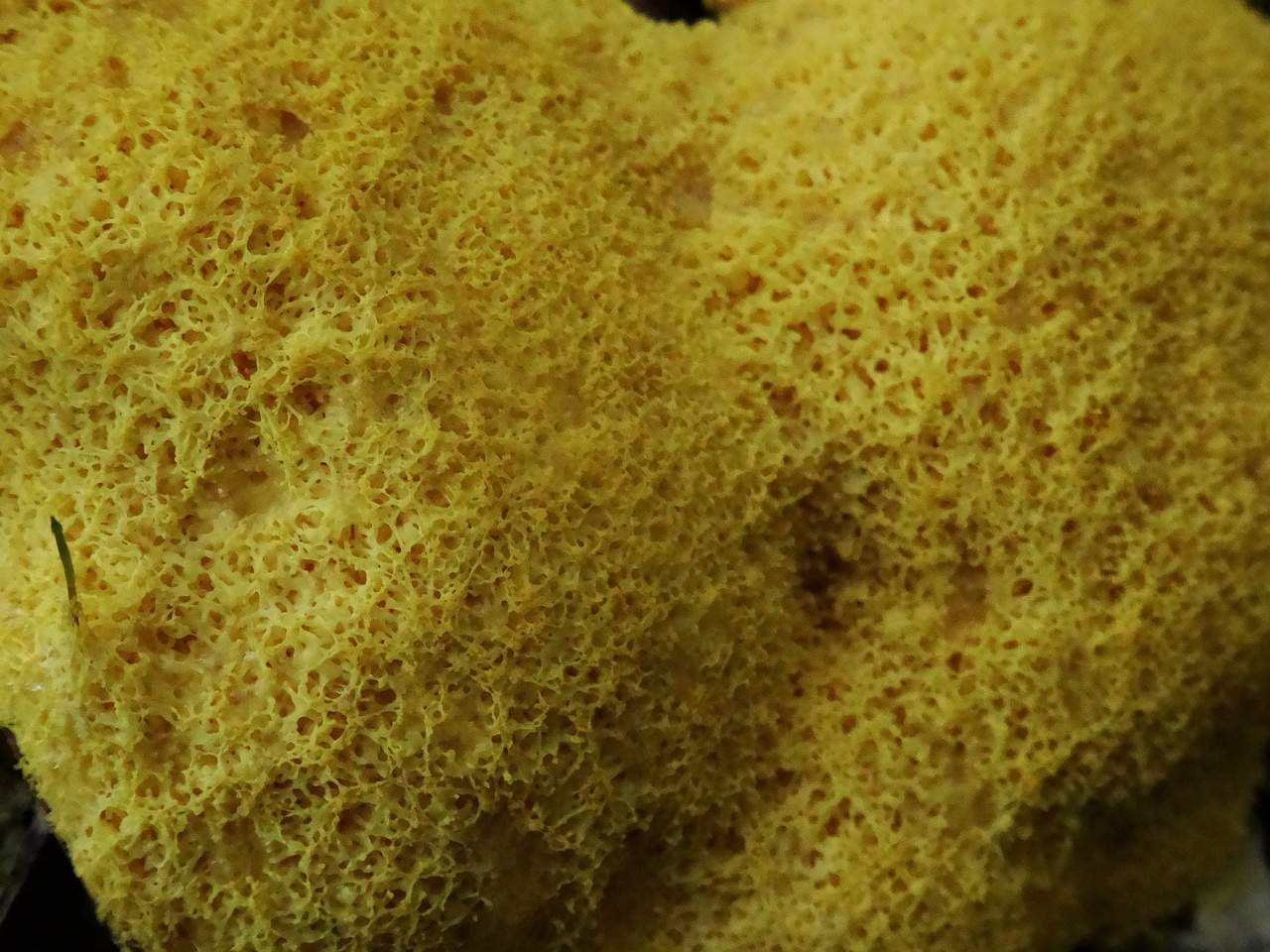 DSC03154