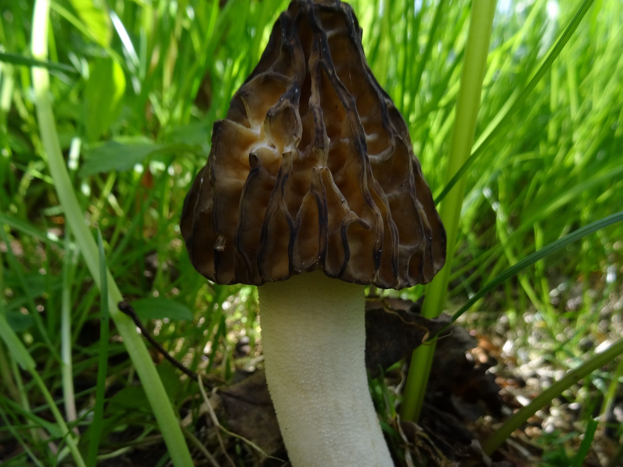 DSC02575