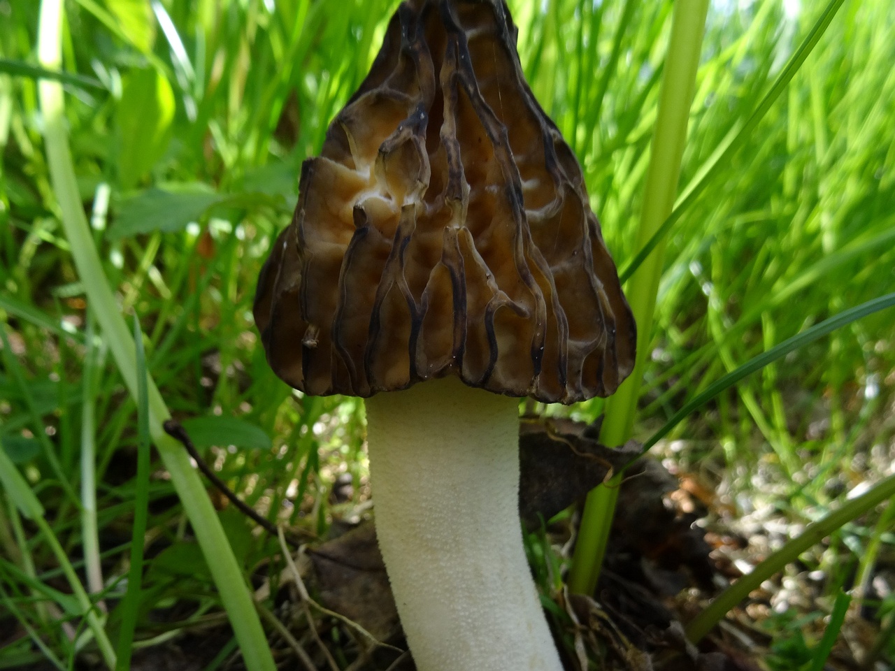 DSC02576