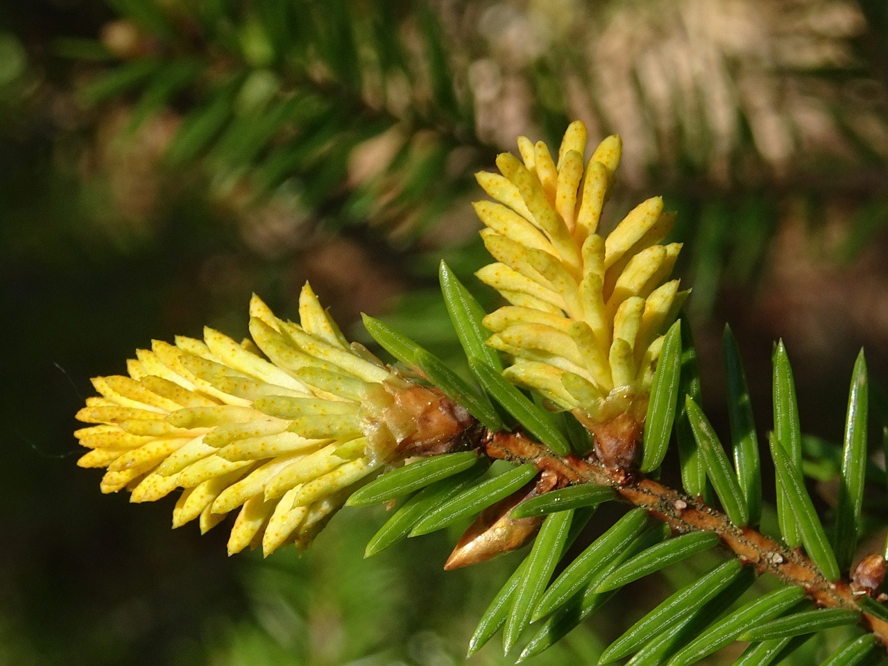 0DSC07979_