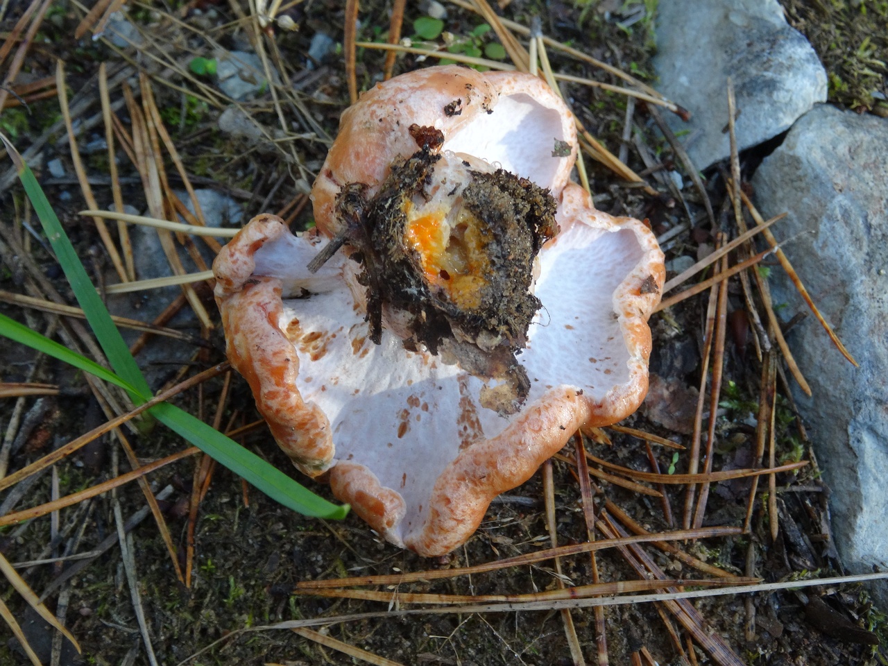 DSC07358