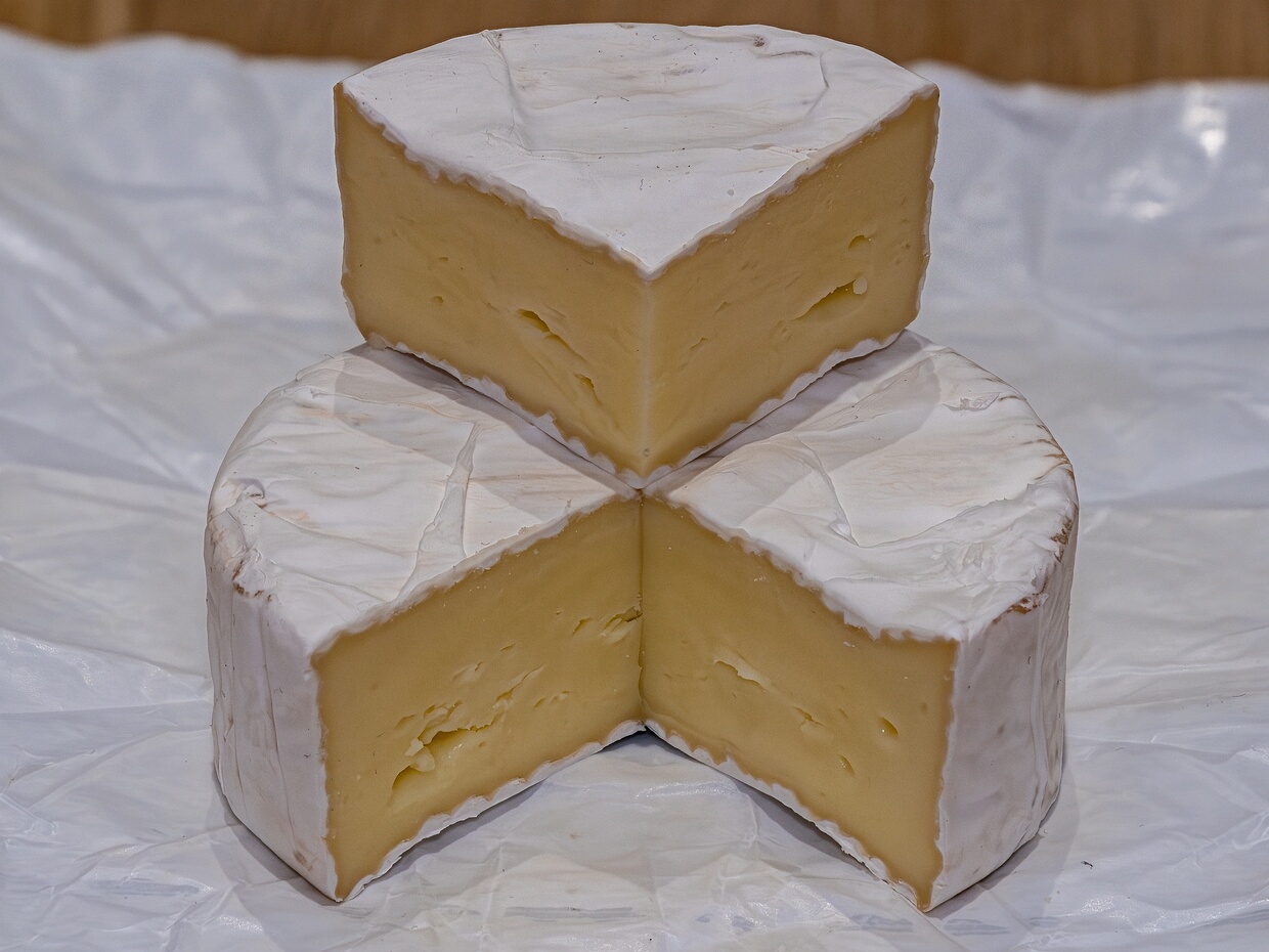 Пеницилл камамбер - Penicillium camemberti 🆔 Penicillium camemberti Thom ℹ️ Body: Fast-growing, dense, white, floccose to cottony mould forming the characteristic...