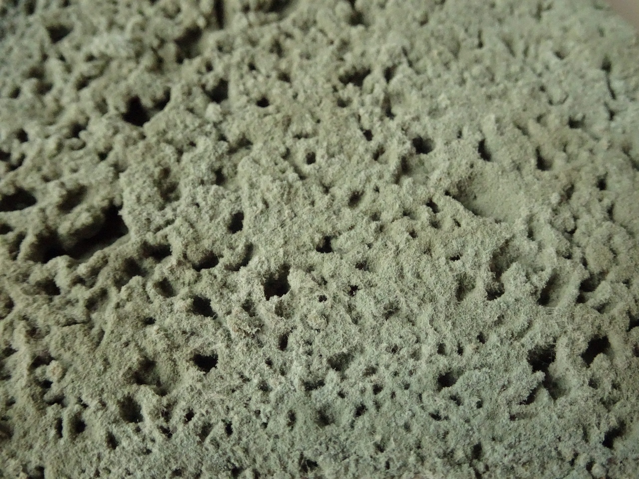 0DSC01081
