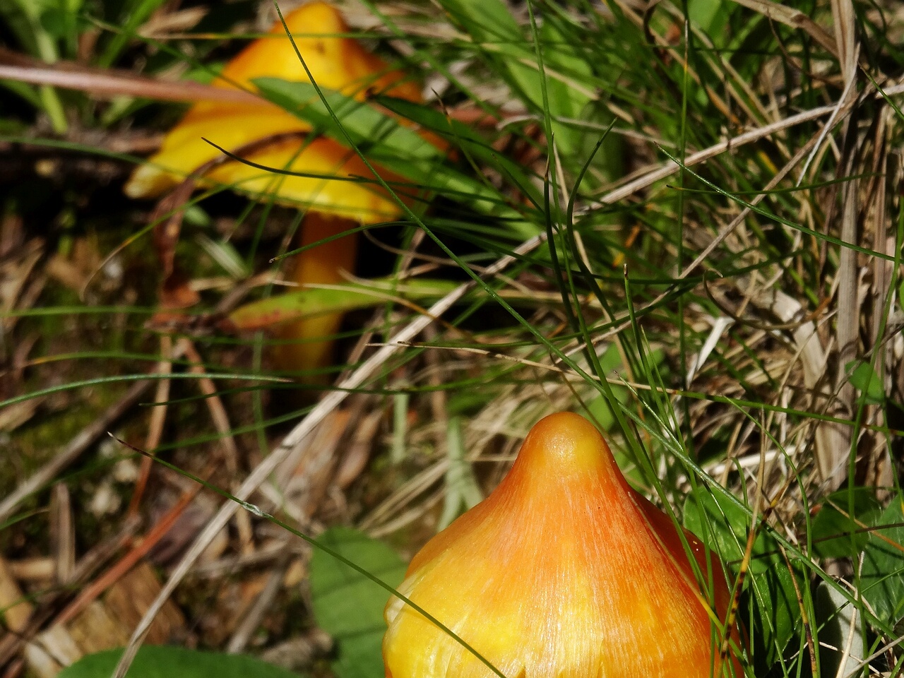 DSC02863