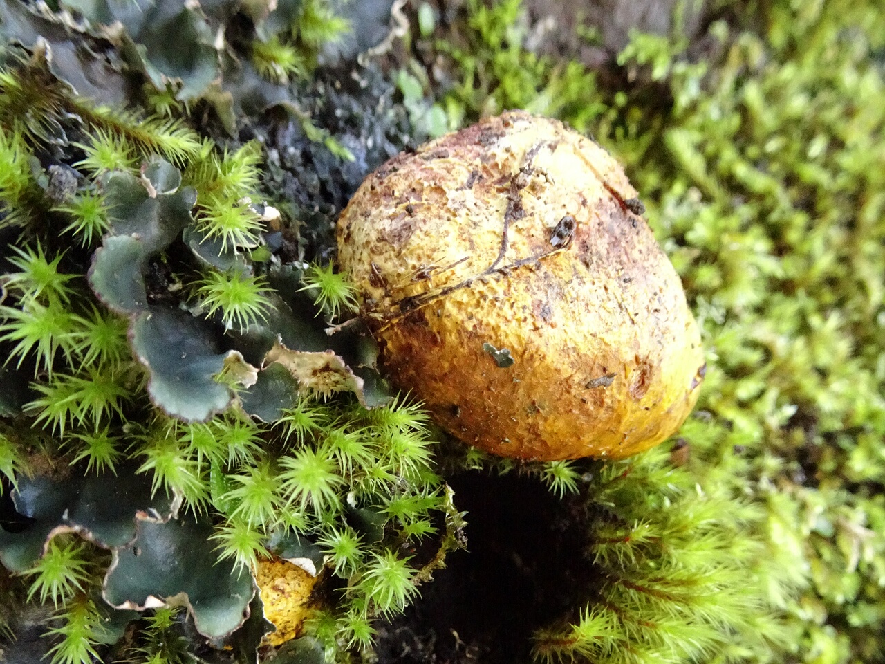 DSC05900