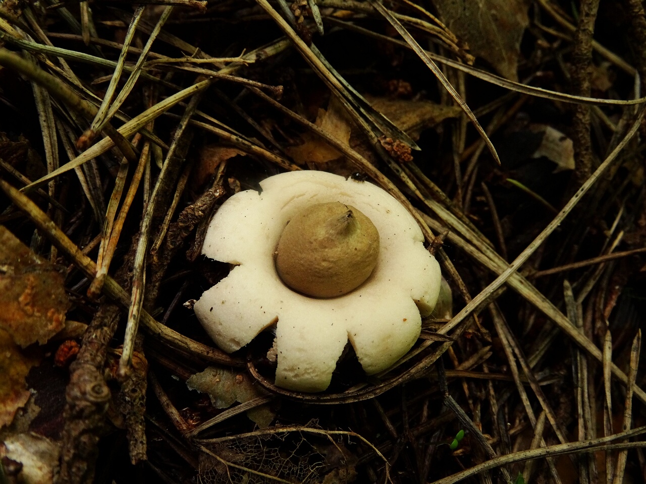 DSC02710